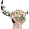 Floral Crown Animal Skulls Stock Arrivals