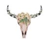 Floral Crown Animal Skulls Stock Arrivals