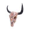 Ocean Crown Animal Skulls Stock Arrivals