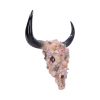 Ocean Crown Animal Skulls Stock Arrivals