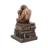 Darwinism of Evolutionary Theory 17.5cm Animals Last Chance to Buy