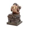 Darwinism of Evolutionary Theory 17.5cm Animals Last Chance to Buy