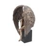 Angel's Reflection 26cm Angels Last Chance to Buy