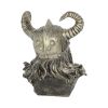 Odin Bust 21.5cm History and Mythology Gifts Under £100