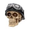 Iron Cross Skull 15.5cm Skulls Sale Items