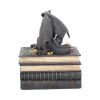 Secrets Of The Dragon 19cm Dragons Year Of The Dragon