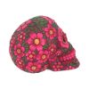 Sugar Blossom Skull 14.5cm Skulls Last Chance to Buy