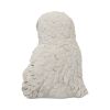Feathered Family 21.5cm Owls Out Of Stock