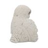 Feathered Family 21.5cm Owls Out Of Stock