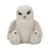 Feathered Family 21.5cm Owls Out Of Stock