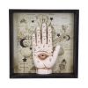 Palmistry Companion 20.2cm Palmistry Sale Items
