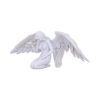 Angels Offering 38cm Angels Last Chance to Buy