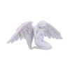 Angels Offering 38cm Angels Last Chance to Buy