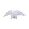 Angels Offering 38cm Angels Last Chance to Buy