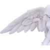 Angels Offering 38cm Angels Last Chance to Buy