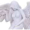 Angels Offering 38cm Angels Last Chance to Buy