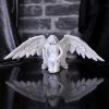 Angels Offering 38cm Angels Last Chance to Buy
