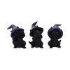 Three Wise Familiars 9.2cm Cats Last Chance to Buy