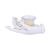 Palmist's Prediction (White) 18.3cm Palmistry Sale Items