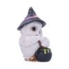 Owl Potion 17.5cm Owls Sale Items