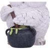 Owl Potion 17.5cm Owls Sale Items