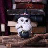 Owl Potion 17.5cm Owls Sale Items