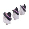 Three Wise Feathered Familiars 9cm Owls Halloween RRP Below 20