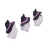 Three Wise Feathered Familiars 9cm Owls Halloween RRP Below 20