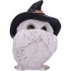 Three Wise Feathered Familiars 9cm Owls Halloween RRP Below 20