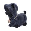 Reapers Kitty 15.5cm Cats Sale Items