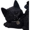 Cat Nap 18cm Cats Last Chance to Buy