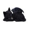 Cat Nap 18cm Cats Last Chance to Buy
