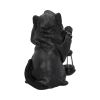 Reapers Feline Lantern 18.5cm Cats Stock Arrivals