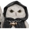 Reapers Flight Lantern 17cm Owls LED Figurines
