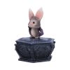 Batty Box 15.2cm Bats Out Of Stock