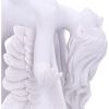 Angels Liberation 26.5cm Angels Sale Items