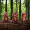 Three Wise Squirrels 9cm Animals Out Of Stock