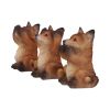 Three Wise Foxes 8.5cm Animals Last Chance to Buy