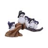 Feathered Broomstick 26cm Owls Sale Items