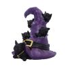 Magical Mischief 14cm Cats Last Chance to Buy