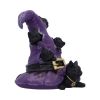 Magical Mischief 14cm Cats Last Chance to Buy