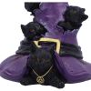 Magical Mischief 14cm Cats Last Chance to Buy