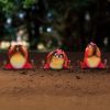 Three Wise Birds 9.8cm Animals Sale Items
