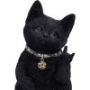Metallicat 16.5cm Cats Last Chance to Buy