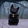 Metallicat 16.5cm Cats Last Chance to Buy