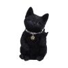 Metallicat 16.5cm Cats Last Chance to Buy