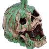 Fatal Elixir 19.2cm Skulls Sale Items