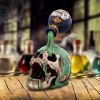 Fatal Elixir 19.2cm Skulls Sale Items