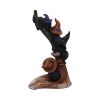 Broomstick Kindle 21cm Cats Sale Items