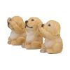 Three Wise Golden Labradors 7.5cm Dogs Sale Items